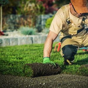 A Guide to Garden Landscaping Costs in 2024